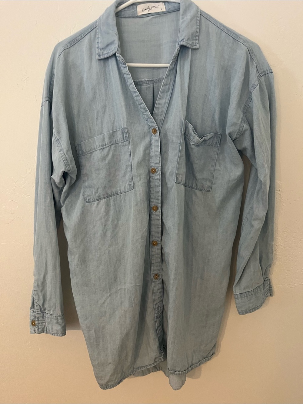 Carly Jean Los Angeles Tencel Blue Chambray Button Up Shirt